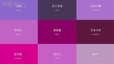 紫色 形容